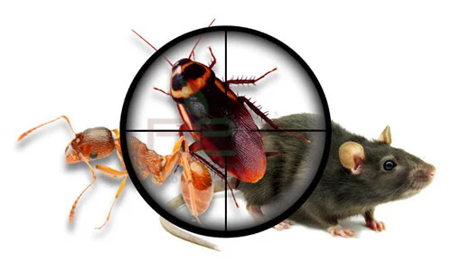 Pest Control Baroda and Vadodara